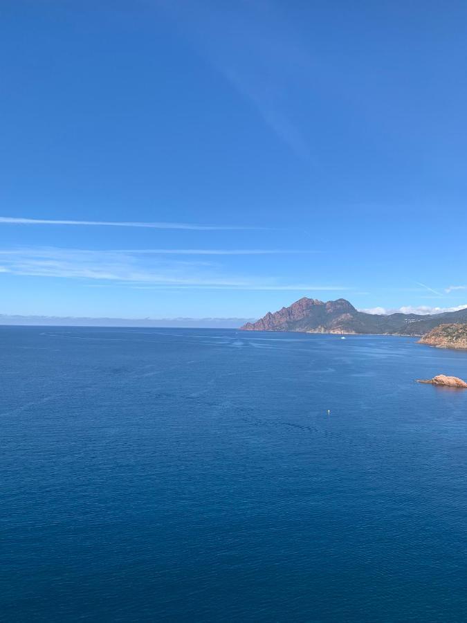 Le Cap'O Apartment Porto  Luaran gambar